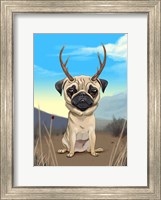 Framed Pugalope