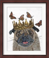Framed Crowned Pug