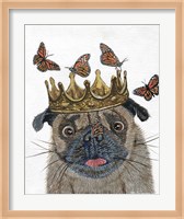 Framed Crowned Pug