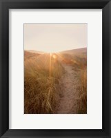 Framed Dunes with Seagulls 4