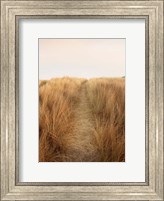 Framed Dunes with Seagulls 6