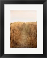 Framed Dunes with Seagulls 6