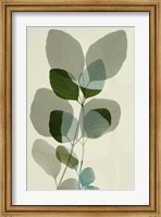 Framed Green Leaves 10