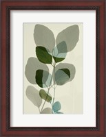 Framed Green Leaves 10