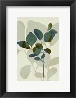 Framed Green Leaves 7