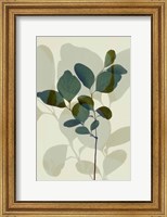 Framed Green Leaves 7