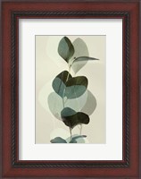 Framed Green Leaves 8