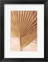 Framed Pastel Fan 1