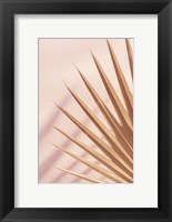 Framed Pastel Fan 4