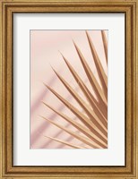 Framed Pastel Fan 4