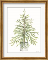 Framed Pine Tree in Pot I