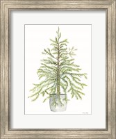 Framed Pine Tree in Pot I