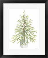 Pine Tree in Pot I Framed Print