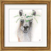 Framed Floral Llama