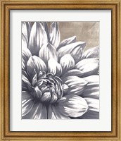 Framed Charming Floral I