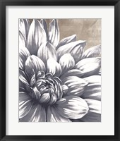 Charming Floral I Framed Print