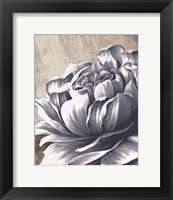 Framed Charming Floral II