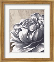 Framed Charming Floral II