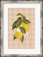 Framed Lemon Botanical I