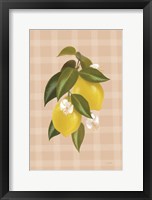 Framed Lemon Botanical I