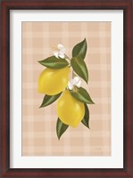 Framed Lemon Botanical II