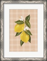 Framed Lemon Botanical II
