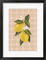 Framed Lemon Botanical II