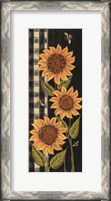 Framed Farmhouse Sunflowers II