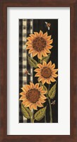 Framed Farmhouse Sunflowers II