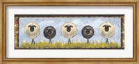 Framed Sheep in the Meadow