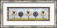 Framed Sheep in the Meadow