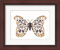 Framed Butterfly Penny
