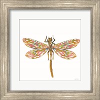 Framed Dainty Dragonfly