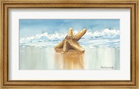 Framed Sea Treasure