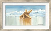 Framed Sea Treasure