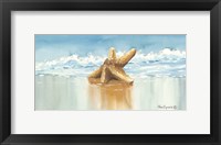 Framed Sea Treasure