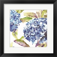 Framed Hydrangea