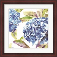 Framed Hydrangea