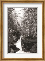 Framed Avalanche Trail