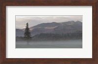 Framed Adirondack Misty Morning