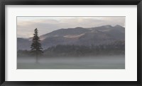 Framed Adirondack Misty Morning