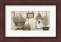 Framed Collection of Herbs