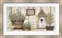 Framed Collection of Herbs