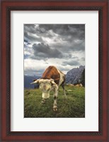 Framed Bowing Cow