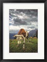 Framed Bowing Cow