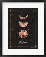 Framed La Luna Moon Phases