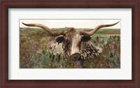 Framed Texas Longhorn in Field