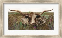 Framed Texas Longhorn in Field
