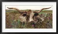 Framed Texas Longhorn in Field