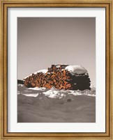Framed Logs in Snow